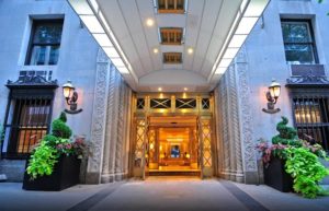Top 5 star Hotel chains in the city