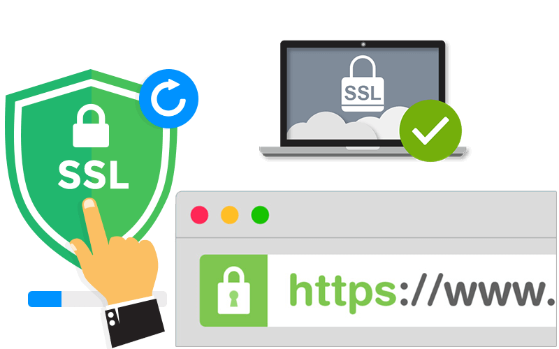 Domain Validated SSL