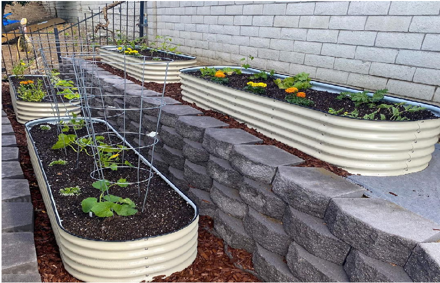 Ways To Grow Your Plants In a Raised Garden Bed