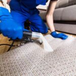 carpet care cleaning services